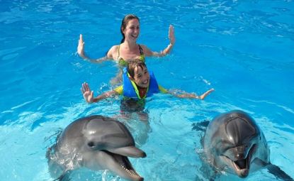 Immagine di SPETTACOLO CON I DELFINI
