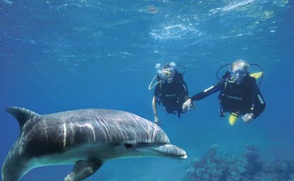 Immagine di ESCURSIONE IN BARCA ISOLA DI TIRAN